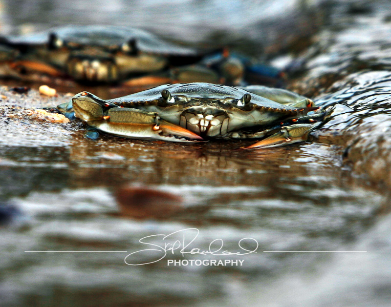 Explorations – the Best of 2017 #100240