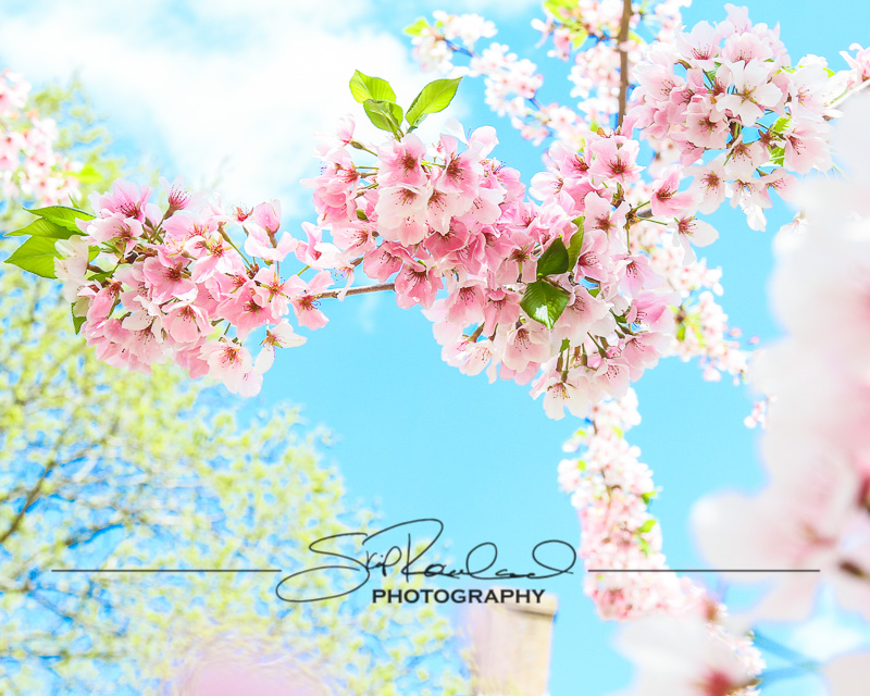 Explorations – the Best of 2017 #100251