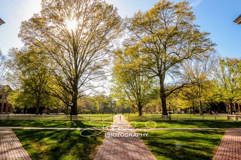 Explorations – the Best of 2017 #100260