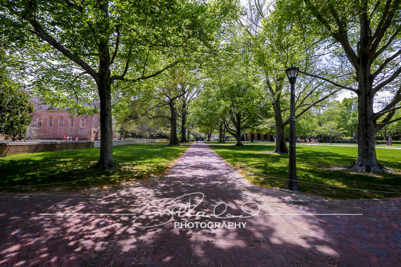 Explorations – the Best of 2017 #100269