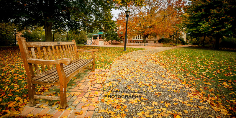 Explorations – the Best of 2017 #100284