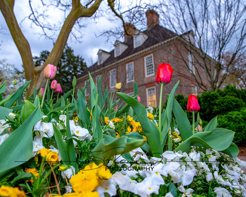 Realizations – the Best of 2019 #98402