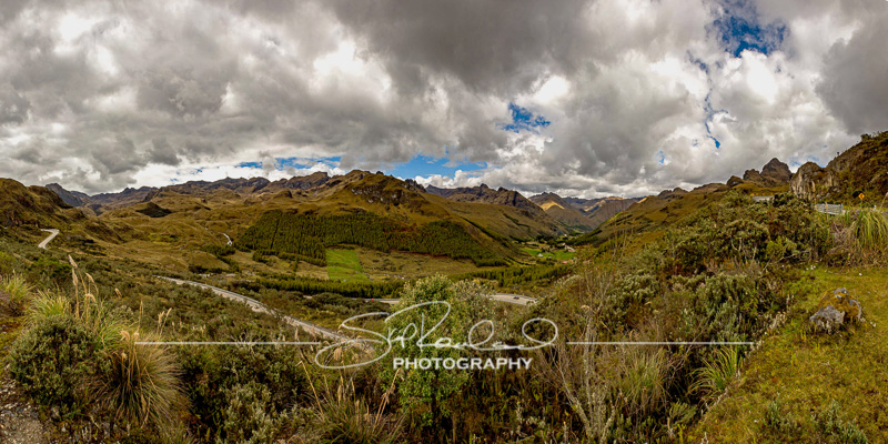 Realizations – the Best of 2019 #98441