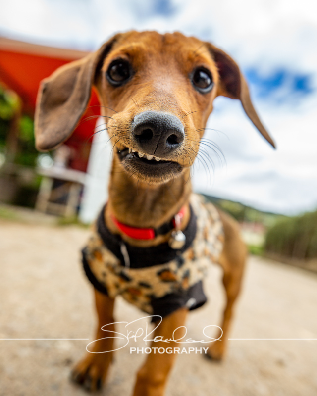 Realizations – the Best of 2019 #98444