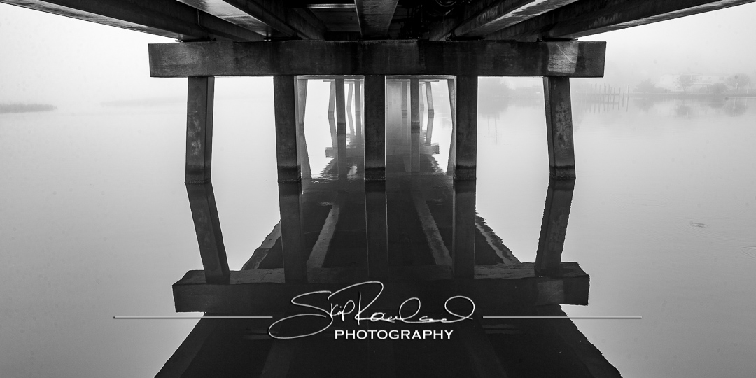 Foggy Morning on Collington Island – February 2020 #15261