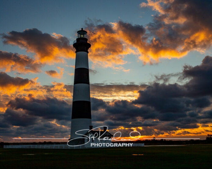 All Was Not Lost – the Best of 2020