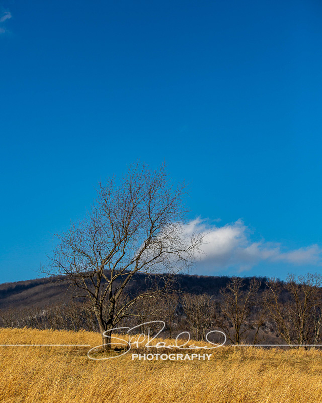 Finding New Light – the Best Of 2021 #97398