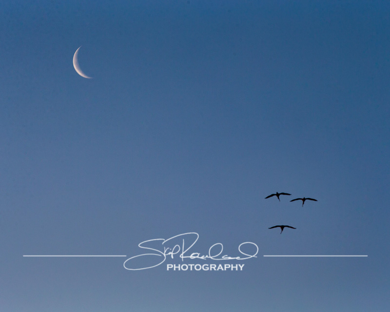 Finding New Light – the Best Of 2021 #97407