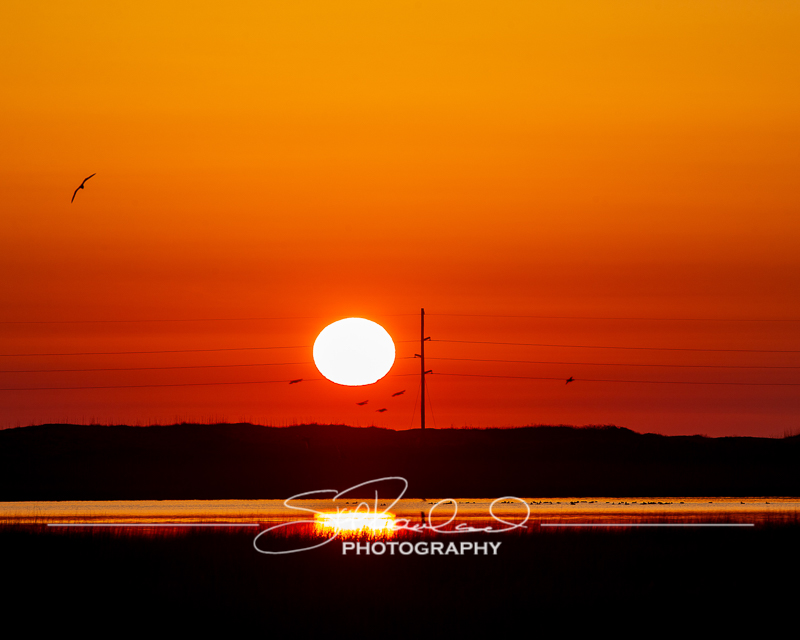 Finding New Light – the Best Of 2021 #97413