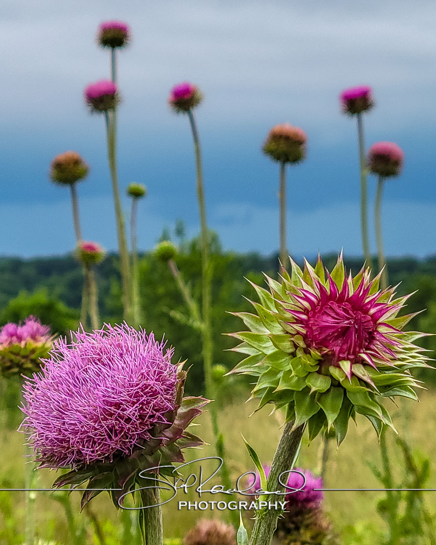 Finding New Light – the Best Of 2021 #97423