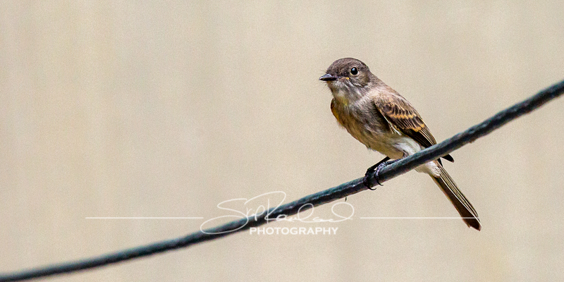 Finding New Light – the Best Of 2021 #97429