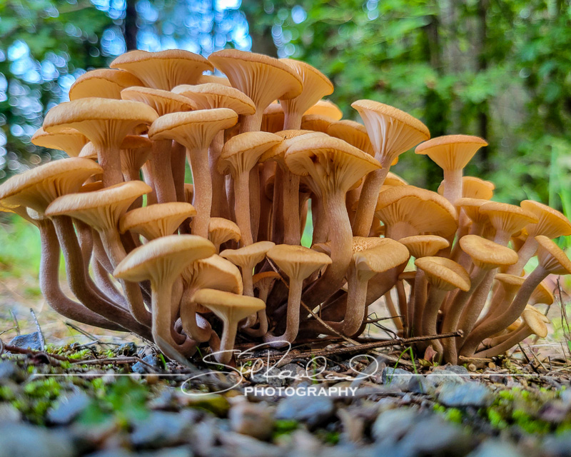 Finding New Light – the Best Of 2021 #97432