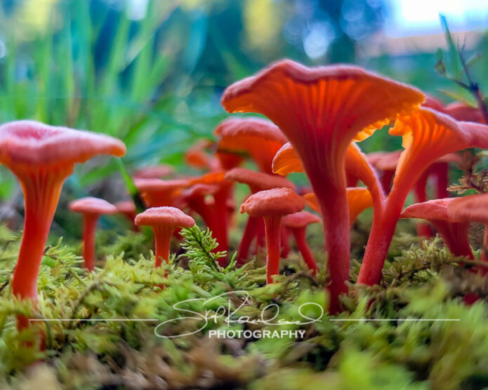 Finding New Light – the Best Of 2021