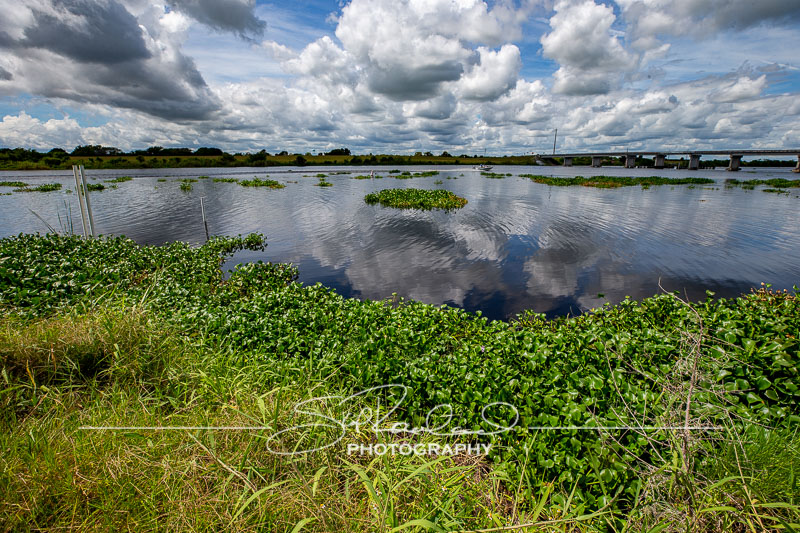 Lake Okeechobee #10571