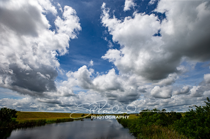 Lake Okeechobee #10572
