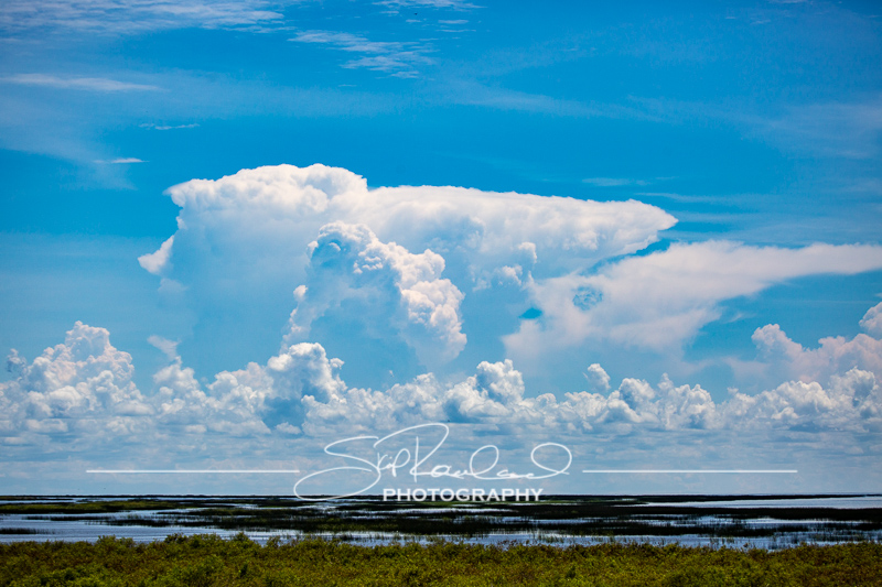 Lake Okeechobee #10573
