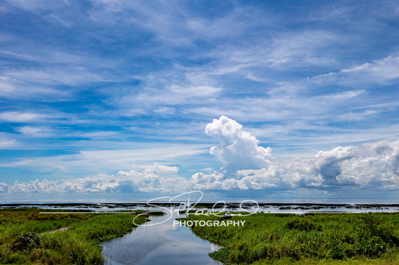Lake Okeechobee #10574