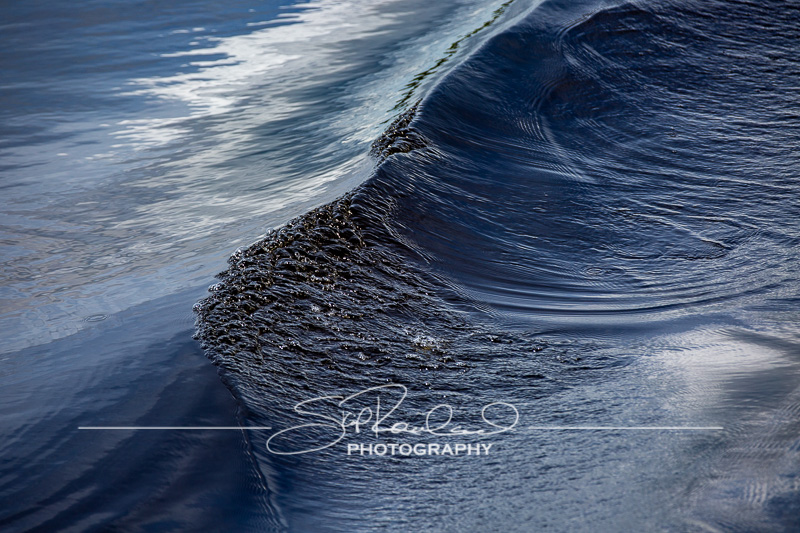 Lake Okeechobee #10575