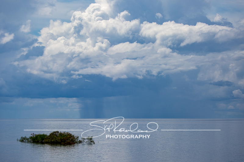 Lake Okeechobee #10576