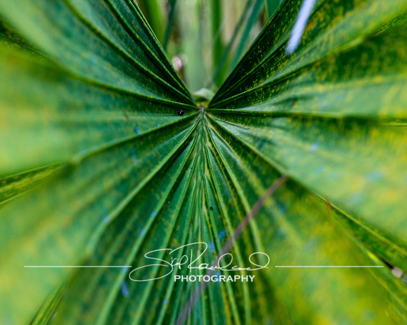 Finding New Light – the Best Of 2021 #97441