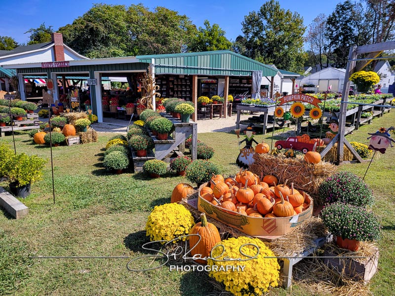 Berrys Produce Rt 301 Hanover #14583