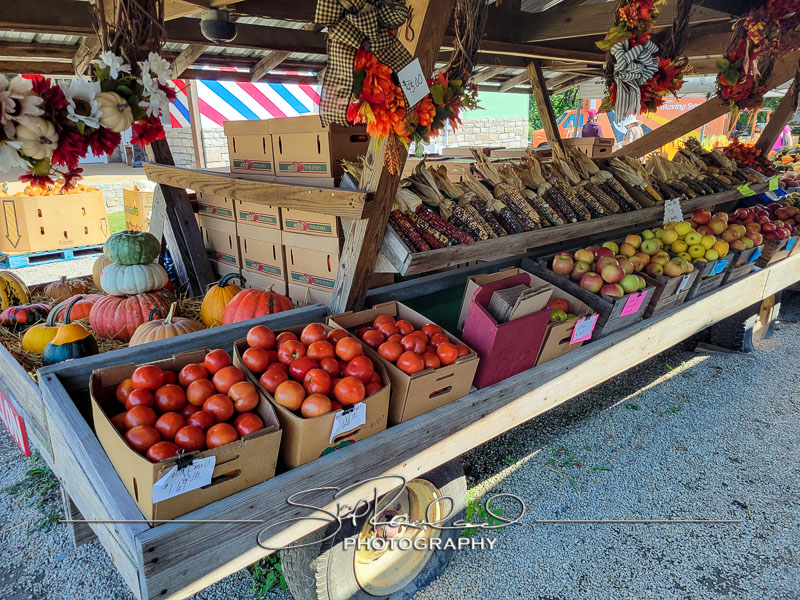 Berrys Produce Rt 301 Hanover #14586