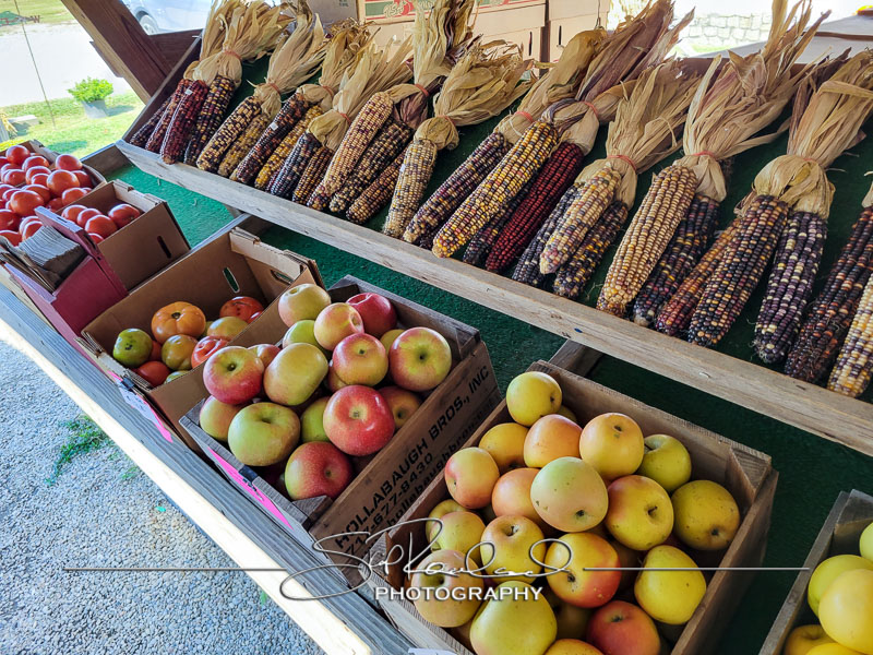 Berrys Produce Rt 301 Hanover #14590