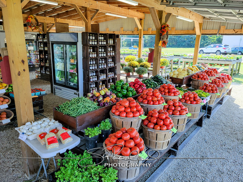 Berrys Produce Rt 301 Hanover #14591