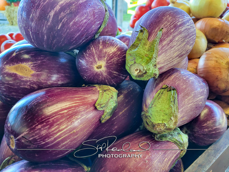 Berrys Produce Rt 301 Hanover #14595