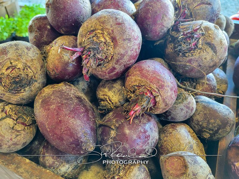 Berrys Produce Rt 301 Hanover #14596