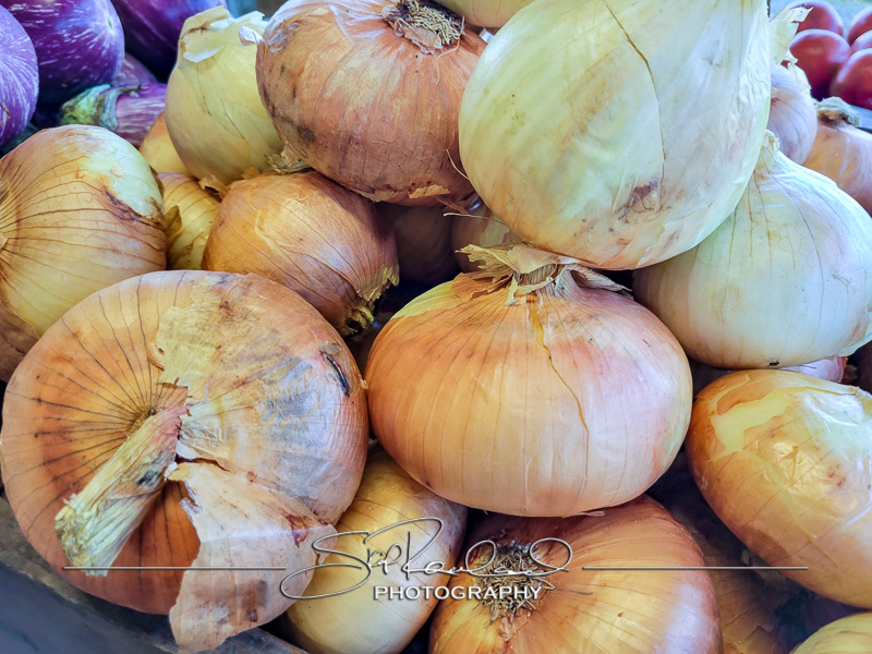 Berrys Produce Rt 301 Hanover #14597