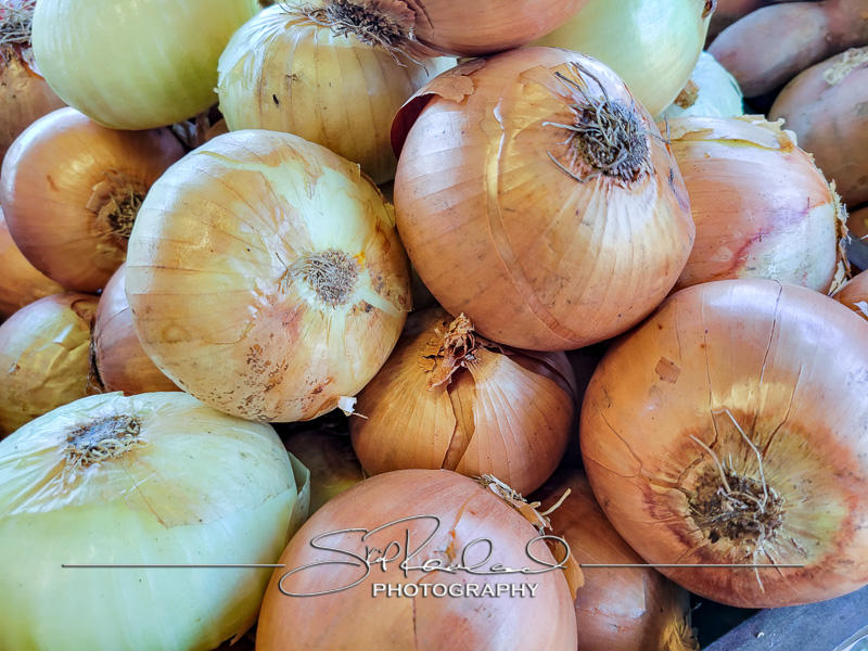 Berrys Produce Rt 301 Hanover #14599