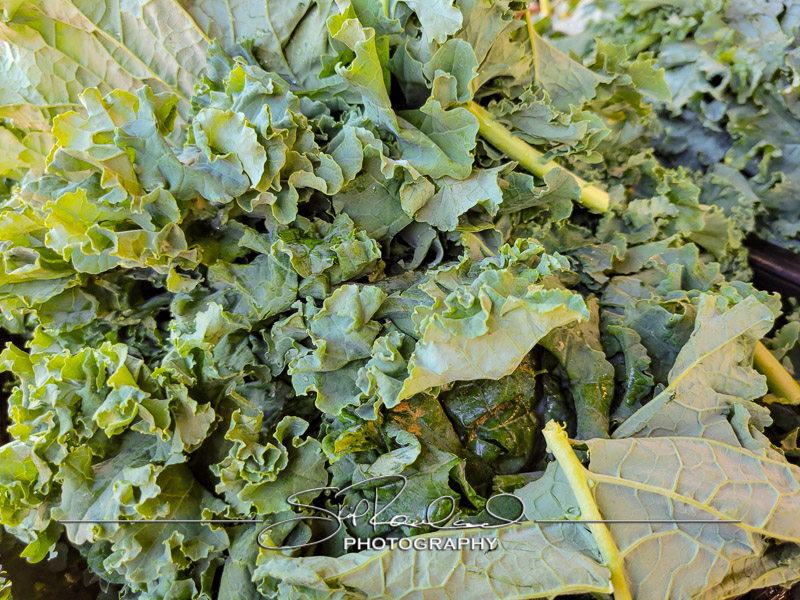 Berrys Produce Rt 301 Hanover #14601