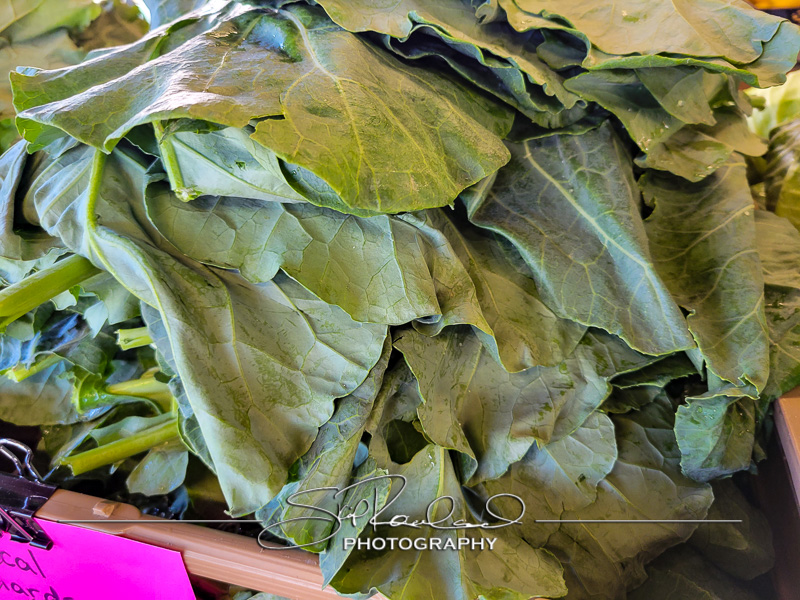 Berrys Produce Rt 301 Hanover #14603