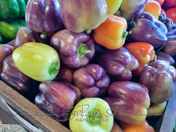 Berrys Produce Rt 301 Hanover #14606