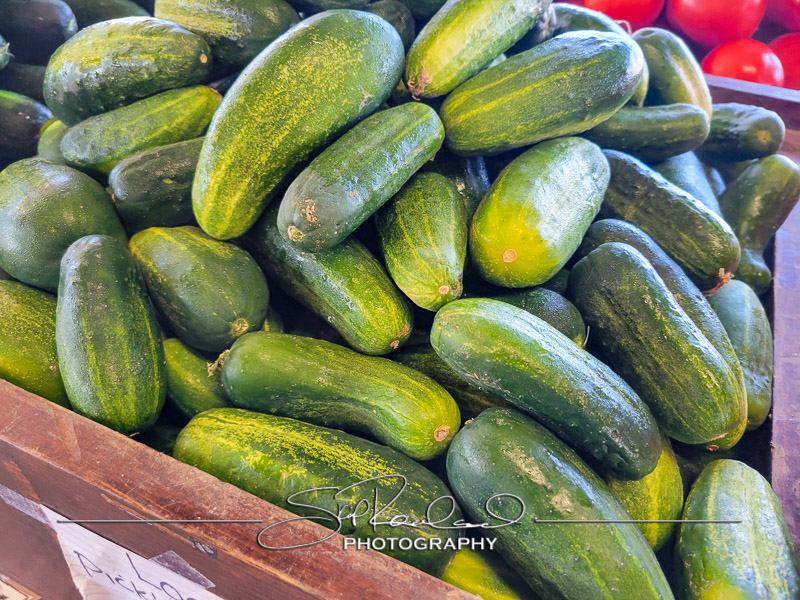 Berrys Produce Rt 301 Hanover #14609