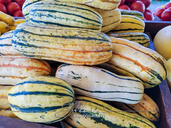 Berrys Produce Rt 301 Hanover #14612