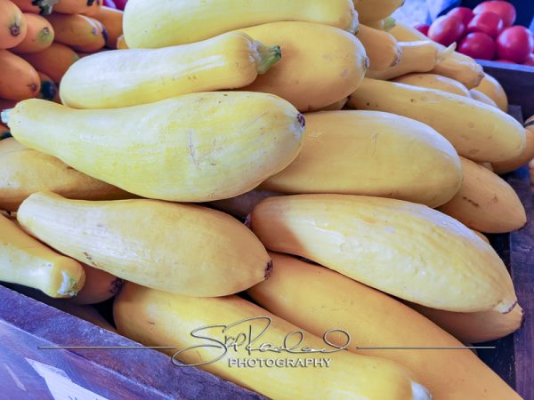 Berrys Produce Rt 301 Hanover #14613