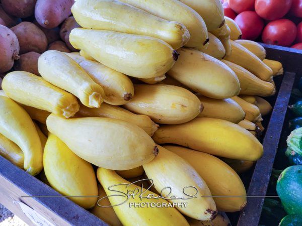 Berrys Produce Rt 301 Hanover #14616