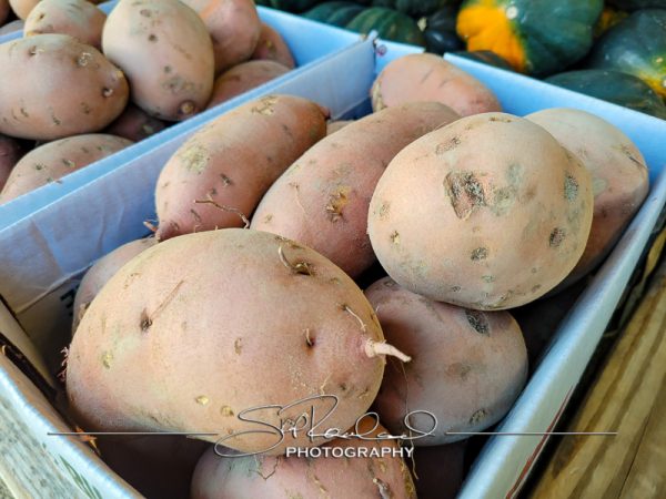 Berrys Produce Rt 301 Hanover #14618