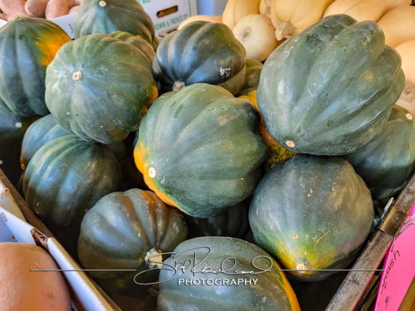 Berrys Produce Rt 301 Hanover #14619