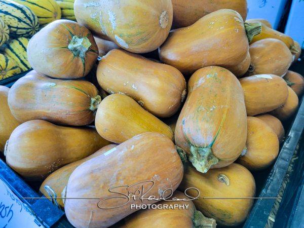 Berrys Produce Rt 301 Hanover #14621