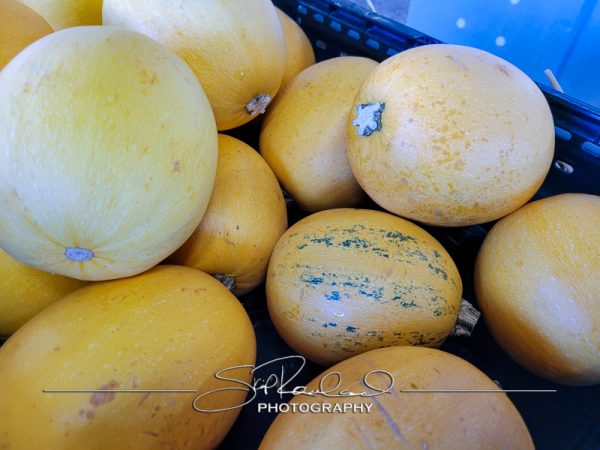 Berrys Produce Rt 301 Hanover #14622