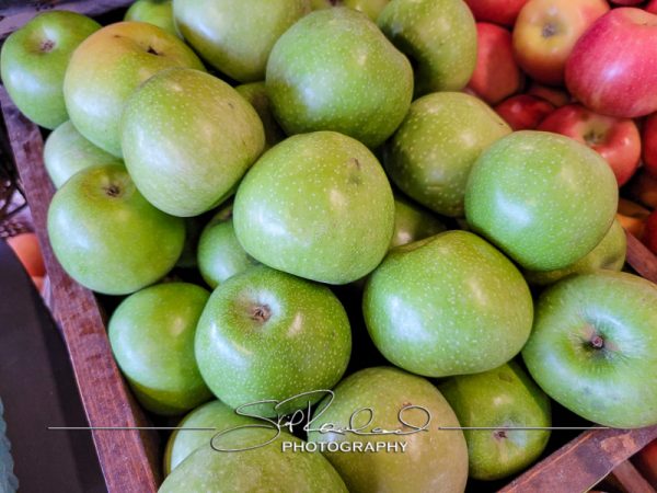 Berrys Produce Rt 301 Hanover #14623