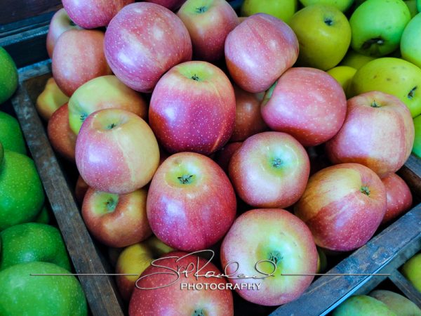 Berrys Produce Rt 301 Hanover #14624