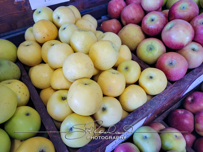 Berrys Produce Rt 301 Hanover #14625