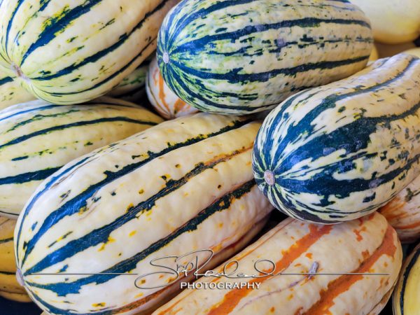 Berrys Produce Rt 301 Hanover #14627