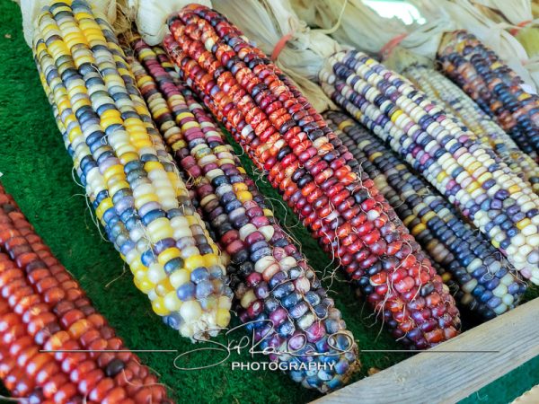 Berrys Produce Rt 301 Hanover #14628