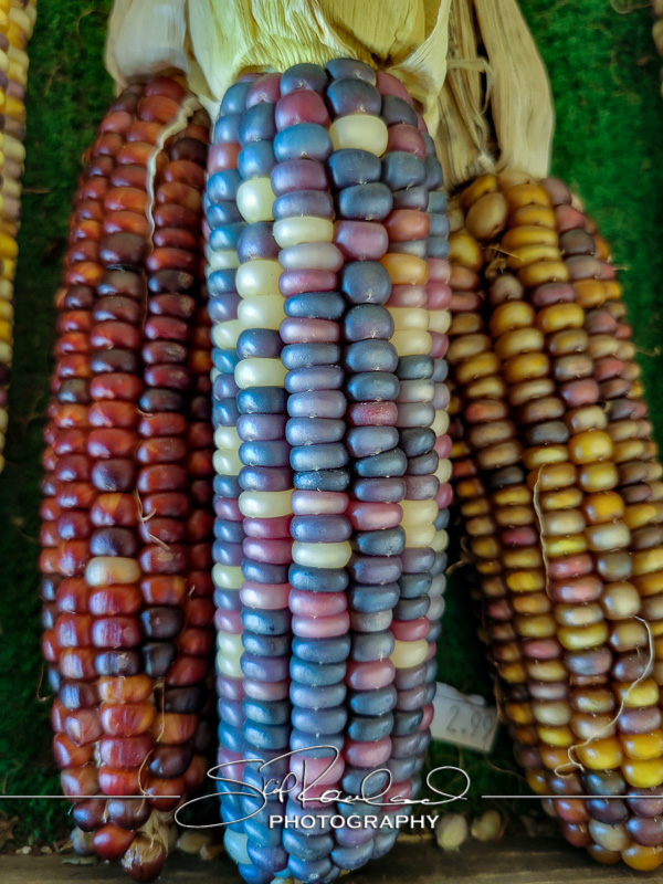 Berrys Produce Rt 301 Hanover #14629