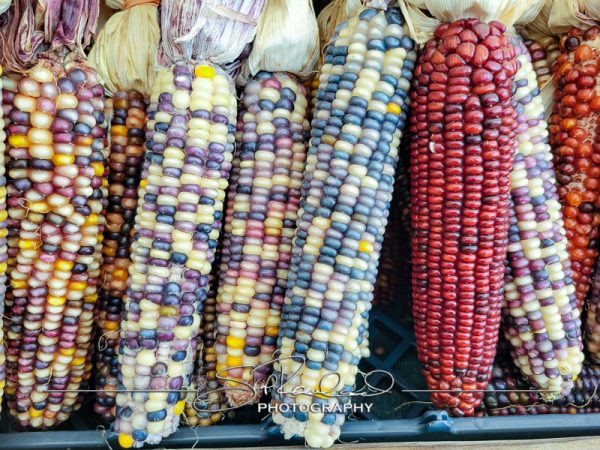 Berrys Produce Rt 301 Hanover #14631